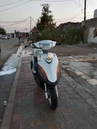 ماكس عدله • فول • ناعمه