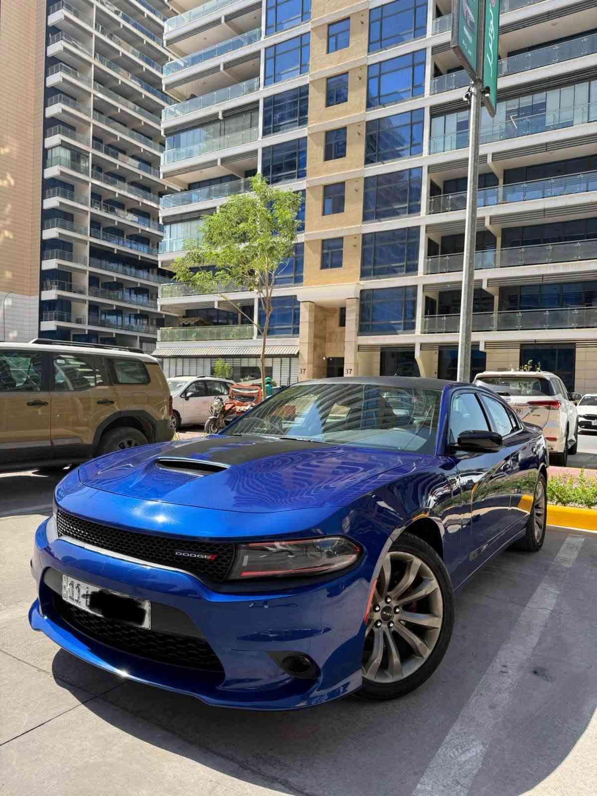 � للبيع دودج جارجر R/T 2022

🔹 مكينة 5700 HEMI
🔹 ماشية 55 ألف 
🔹 فول مواصفات عدا الفتحة
🔹 بصمة
🔹 شاشة
🔹 كشنات كهرباء
🔹 كشنات أمامية تدفئة وتبريد
🔹 صدر وسيرفس كامل وجديد
🔹 صبغ 4 قطع فقط: جاملغ وبنيد وبابتين
🔹 بدون دواخل

💰 السعر: 20,500$ — 205 ورقة

📞 للاستفسار: ***********
