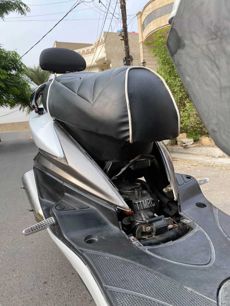 فحل نوزل • ٥٩ • جويتر 32