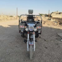 ستوتا • ٢٠٢٥ • جلولاء