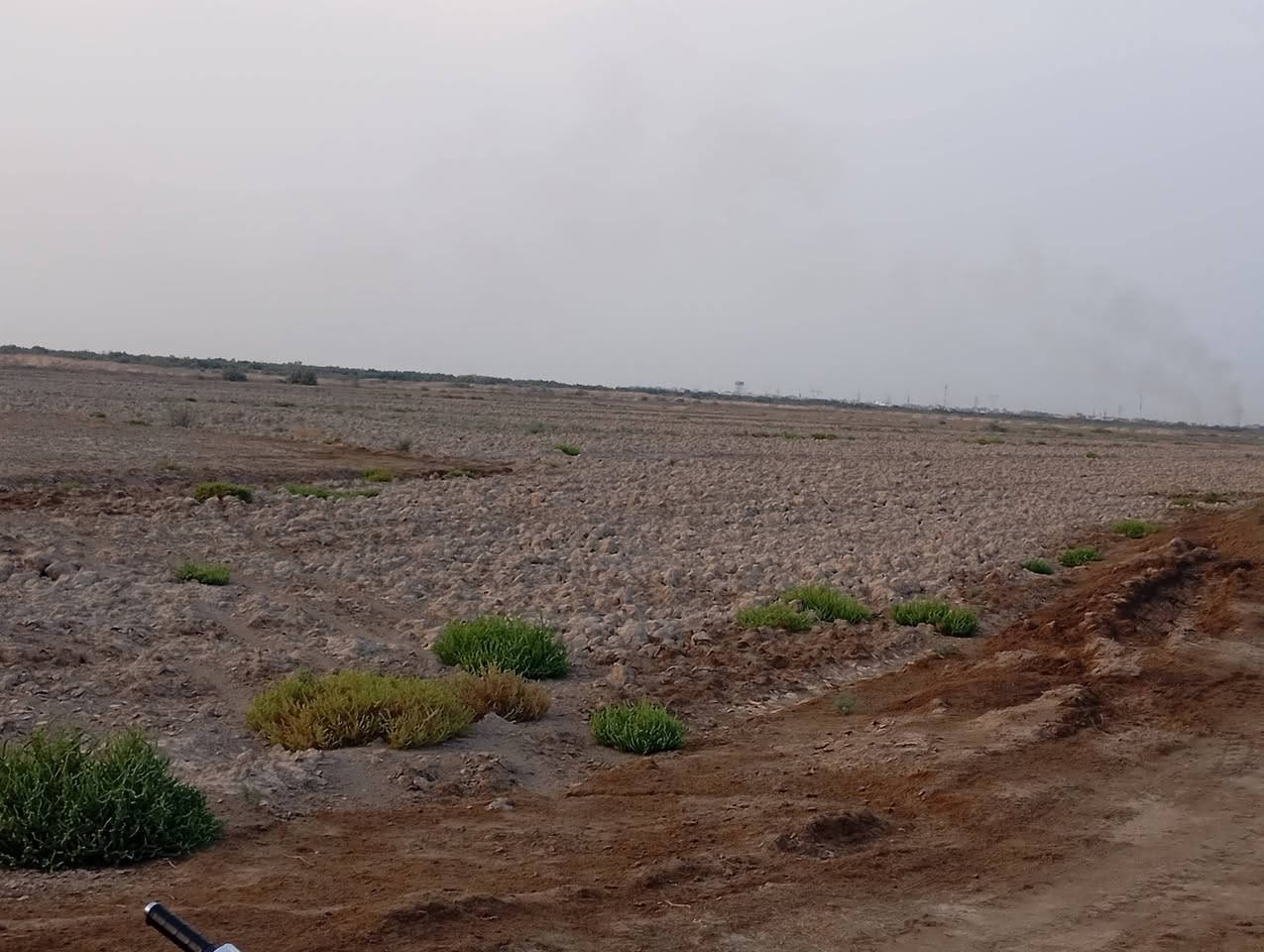 أرض زراعية • ٦٠ دونم • سند ١١٧