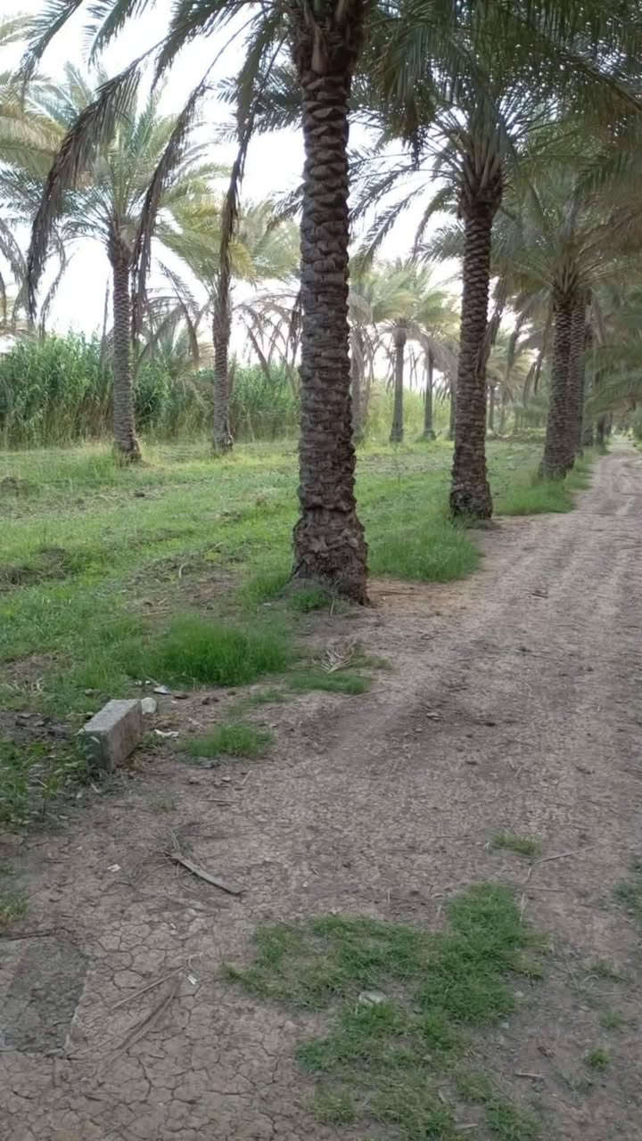 بيت للبيع • البراهميه • دونمين