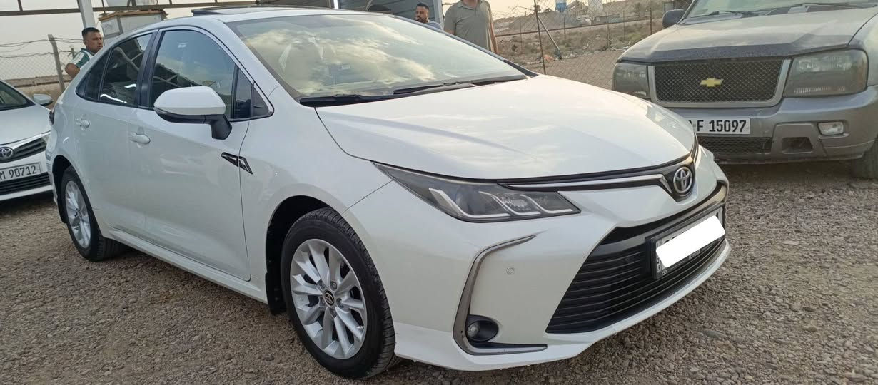 كورلا خليجي • ٢٠٢١ • رقم اربيل