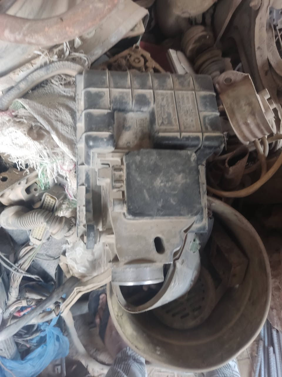 ***********بابل القاسم
