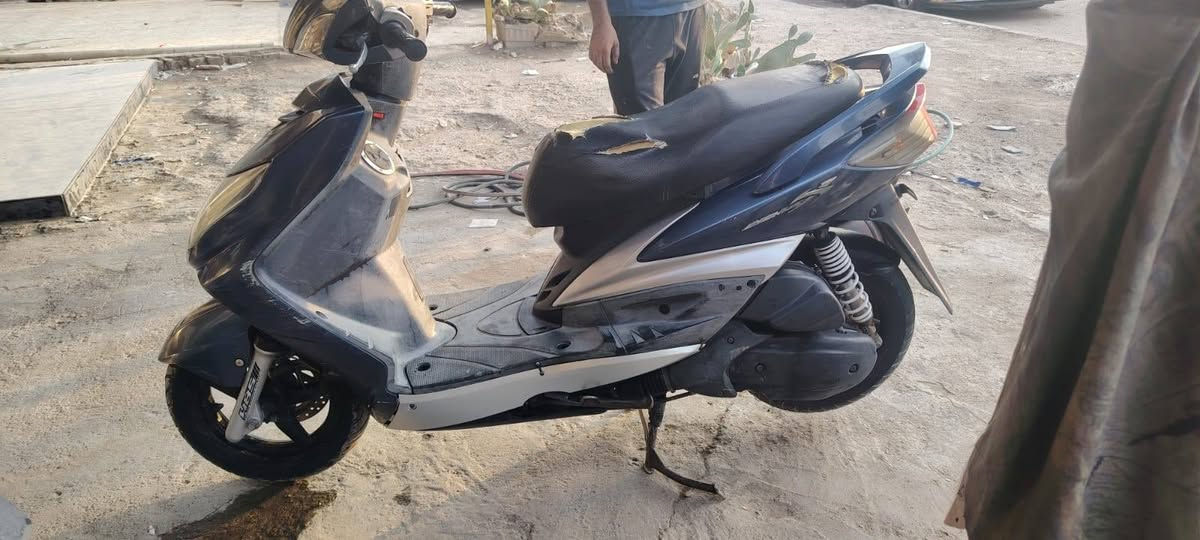 سكنس • ازرق • اوراق