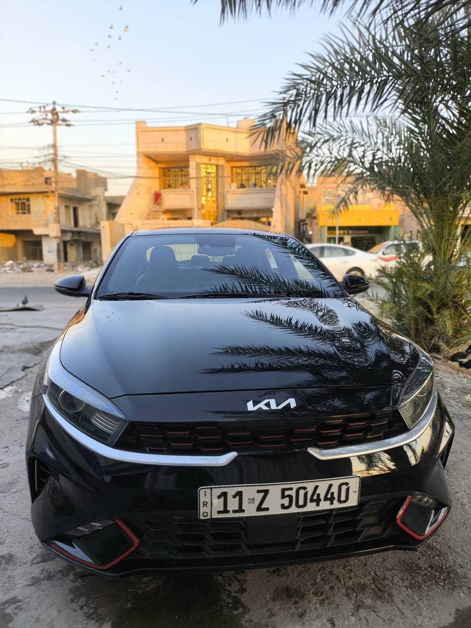 السلام عليكم سعر145$وبيه مجال
فورتي 2023 جيتي لاين رقم بغداد بأسمي  حادثها بس باب وجاملغ لباب مبدل بلادي اصلي وجاملغ مصلح ضربه خفيفه، سياره موس لاشخوط ولارصعات سياره كارتون وسونار بل منشور
مواصفات 
: بصمة /  تشغيل عن بعد/لدات اماميه/جلد/دركه جيتي لاين/لدات خلفيه/ تبريد بيانو مركزي/لايت LED  / مكينة 2000 دوش / شاشة كبيرة / كامرة دوارة / رادار تعديل مسار / اوتو بريك / رادار جانبي / مود درايف / تحكم ستيرن / كروس سرعة /مانع انزلاق / بلوتوث / اواكس / USB/ماشيه 33

عنوان: بغداد البلديات

للتواصل والاستفسار : ***********
