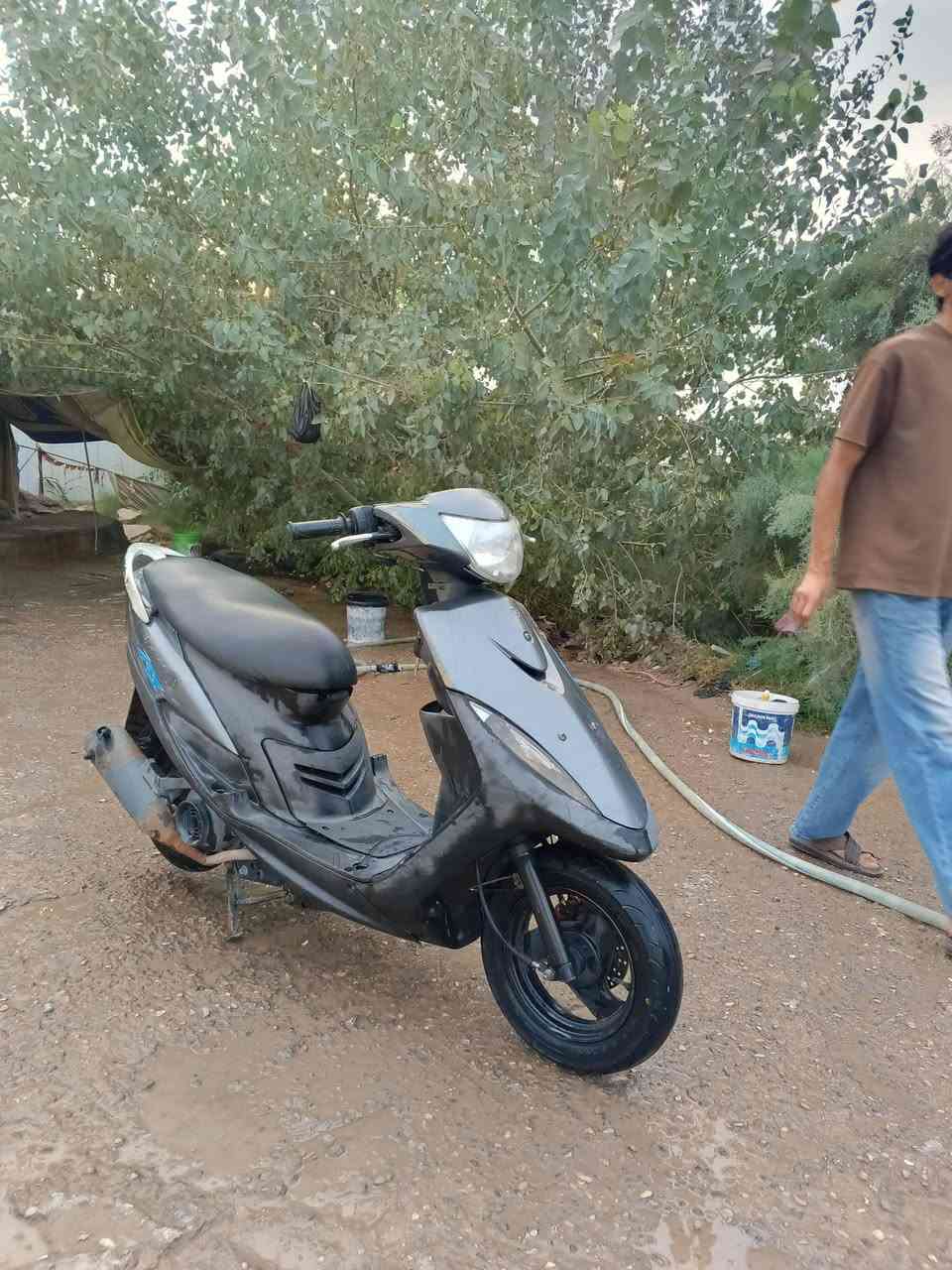ماكس عدلة • خزن • مكفولة