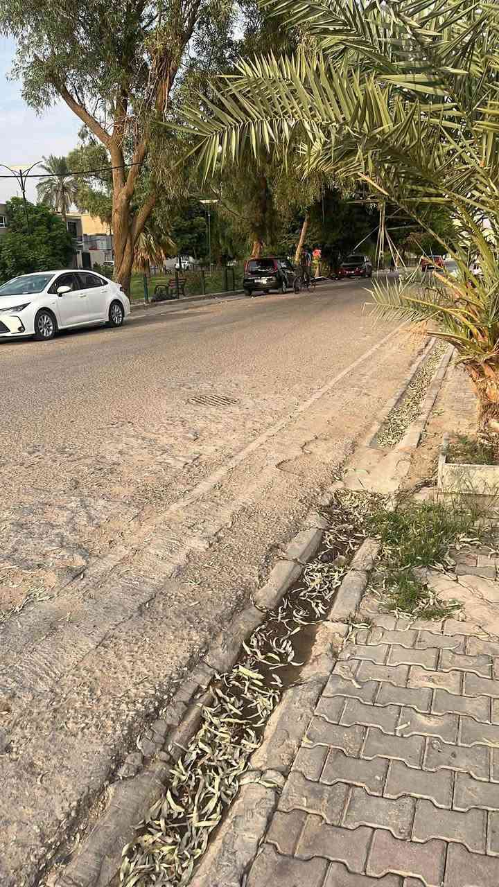 بيت للإيجار/رهن • ١٢٠م • حي المعلمين