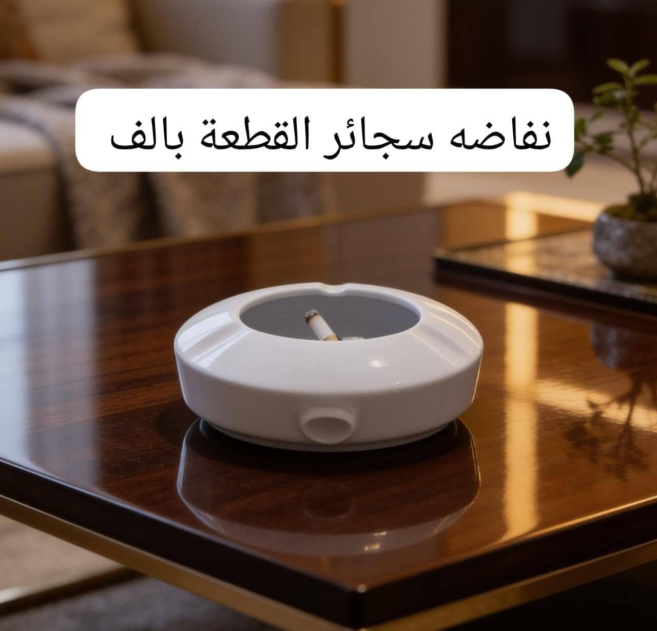 منافض سجائر • ستانلس ستيل • عجل بيتزا