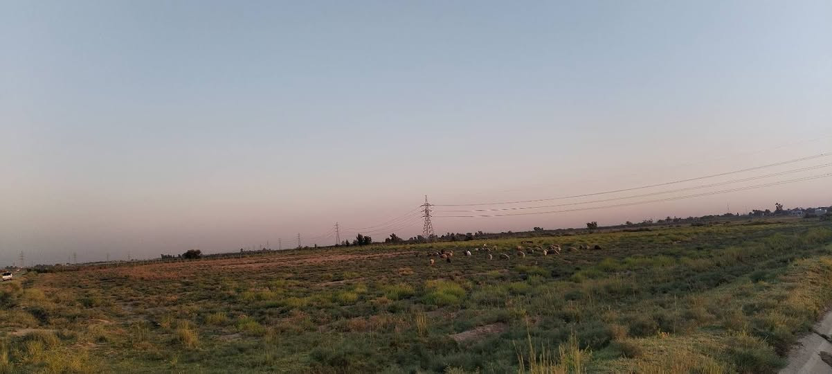 السلام عليكم و رحمة الله،
عقد زراعي مساحة 20 دونم على قرار 35 يتوفر  بيع الدوانم حسب الطلب موقع العقد خلف مشروع الماء الكبير قرب اسالة ماء منطقة السبعة الاف للاستفسار ***********
