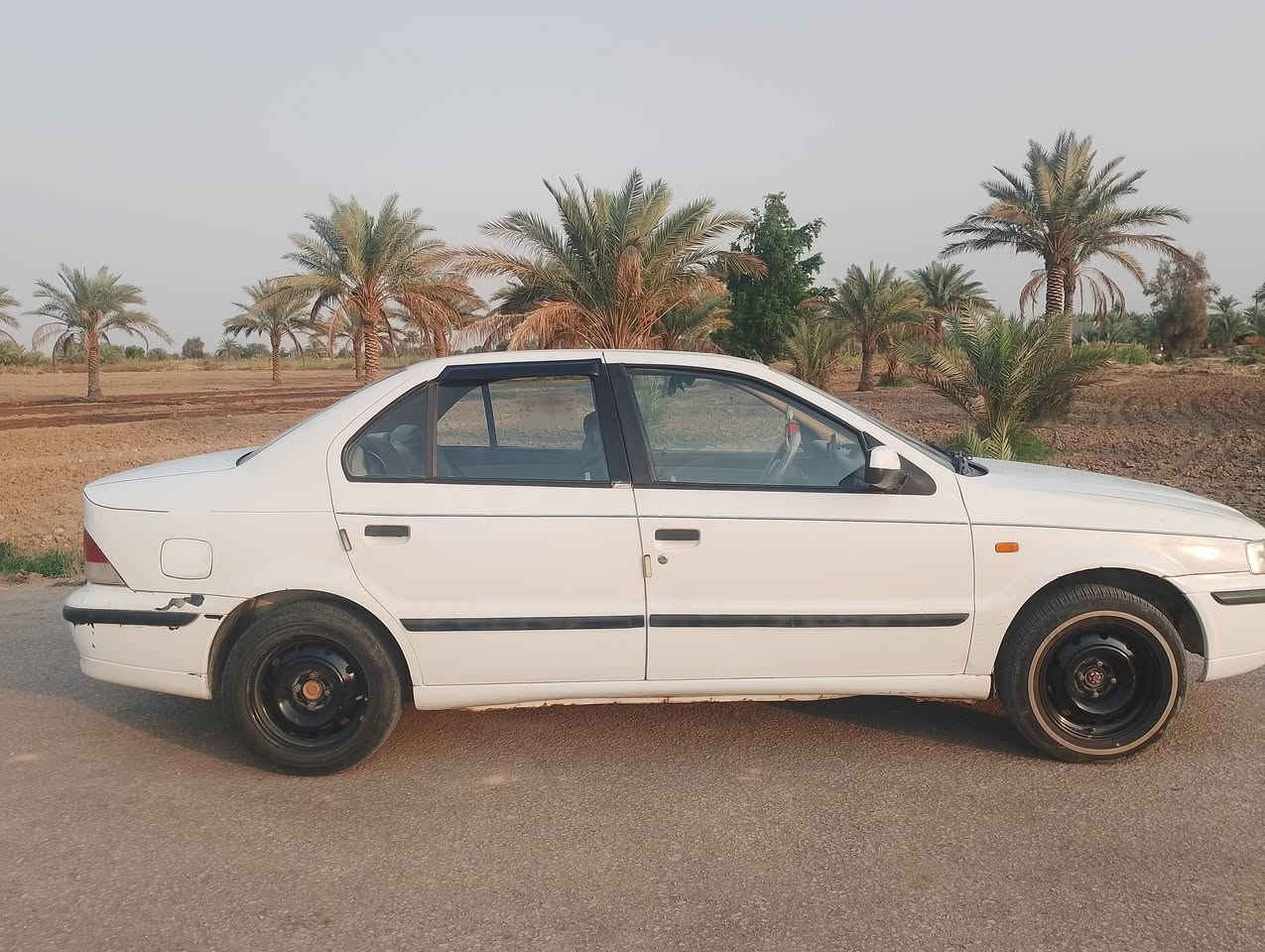 سمند ناطق • ٢٠١١ • بابل
