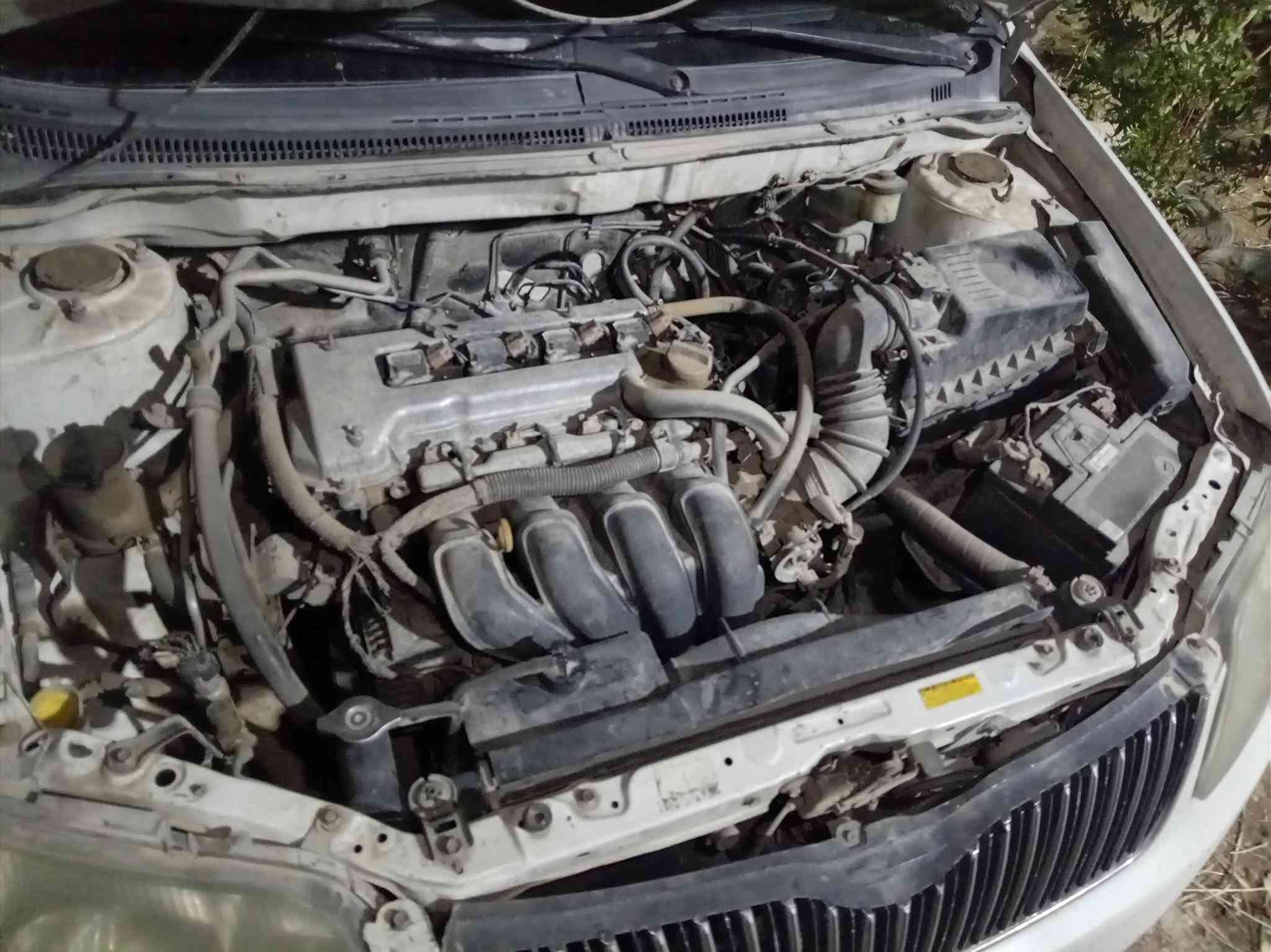 اللبيع سياره كورلاء بيكاجيو
موديل ٢٠٠٧
العنوان كربلاء الحسينيه العطيشي الاتصال
***********
السعر ٨٠مع مجال
