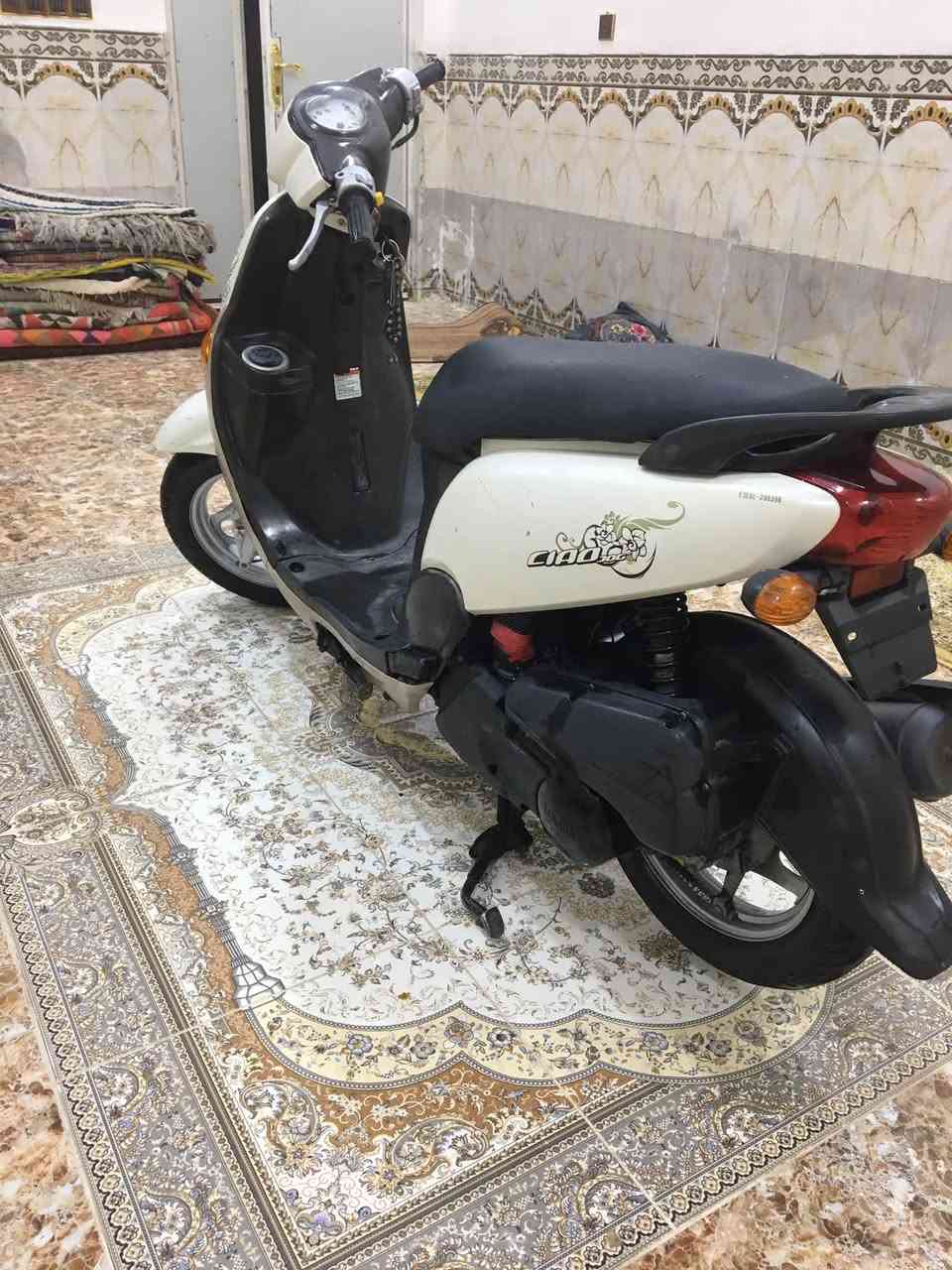 فله • مديل 12 • مكفولة