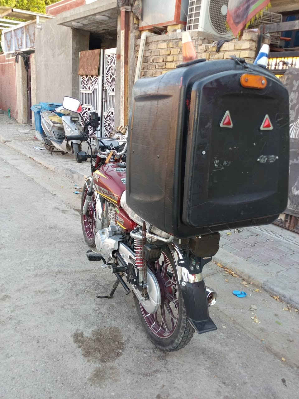 سونك • ٢٠٢٤ • اوراق