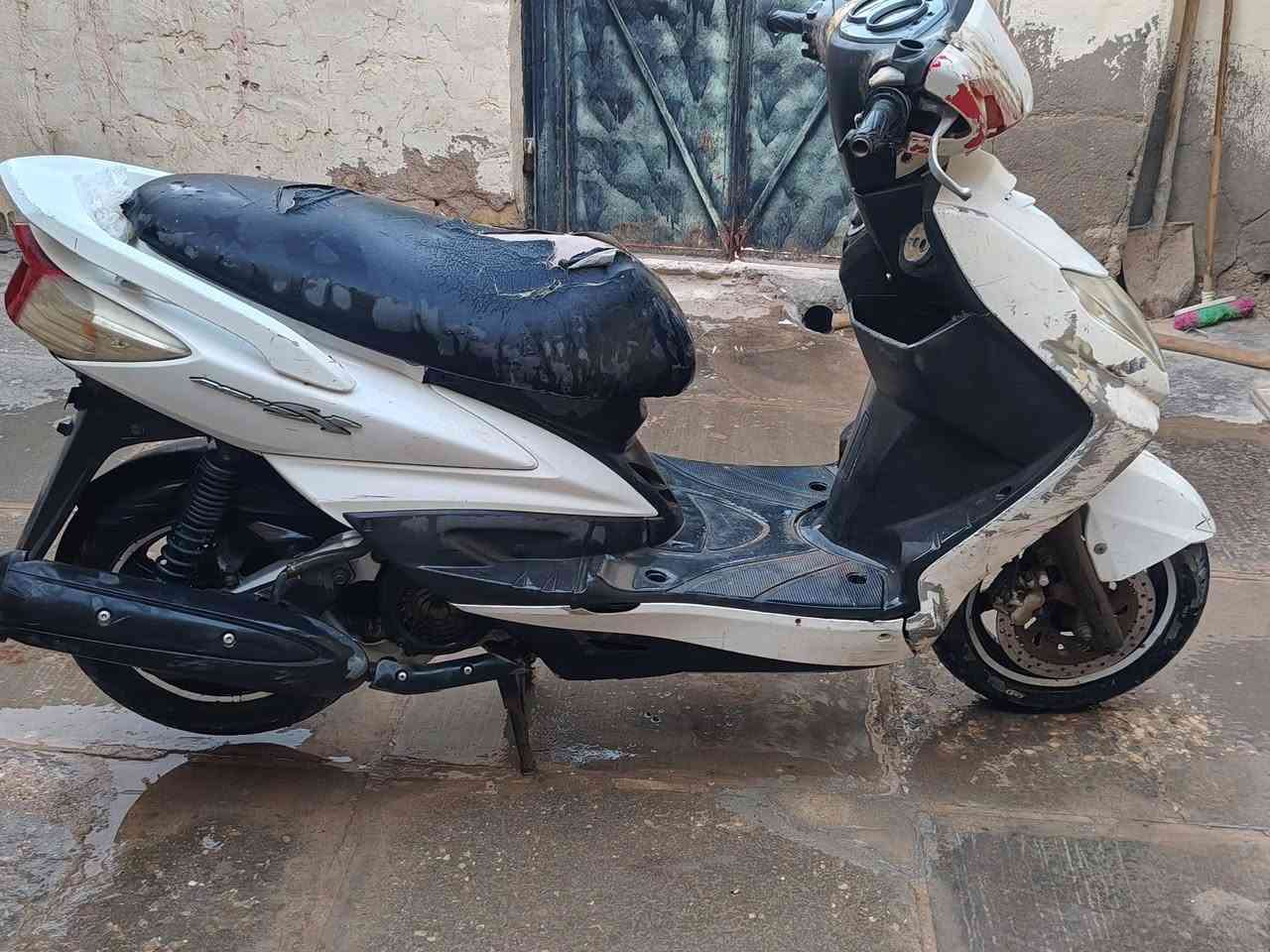 سكنس جبلي • ياباني • فيت بم وسلف