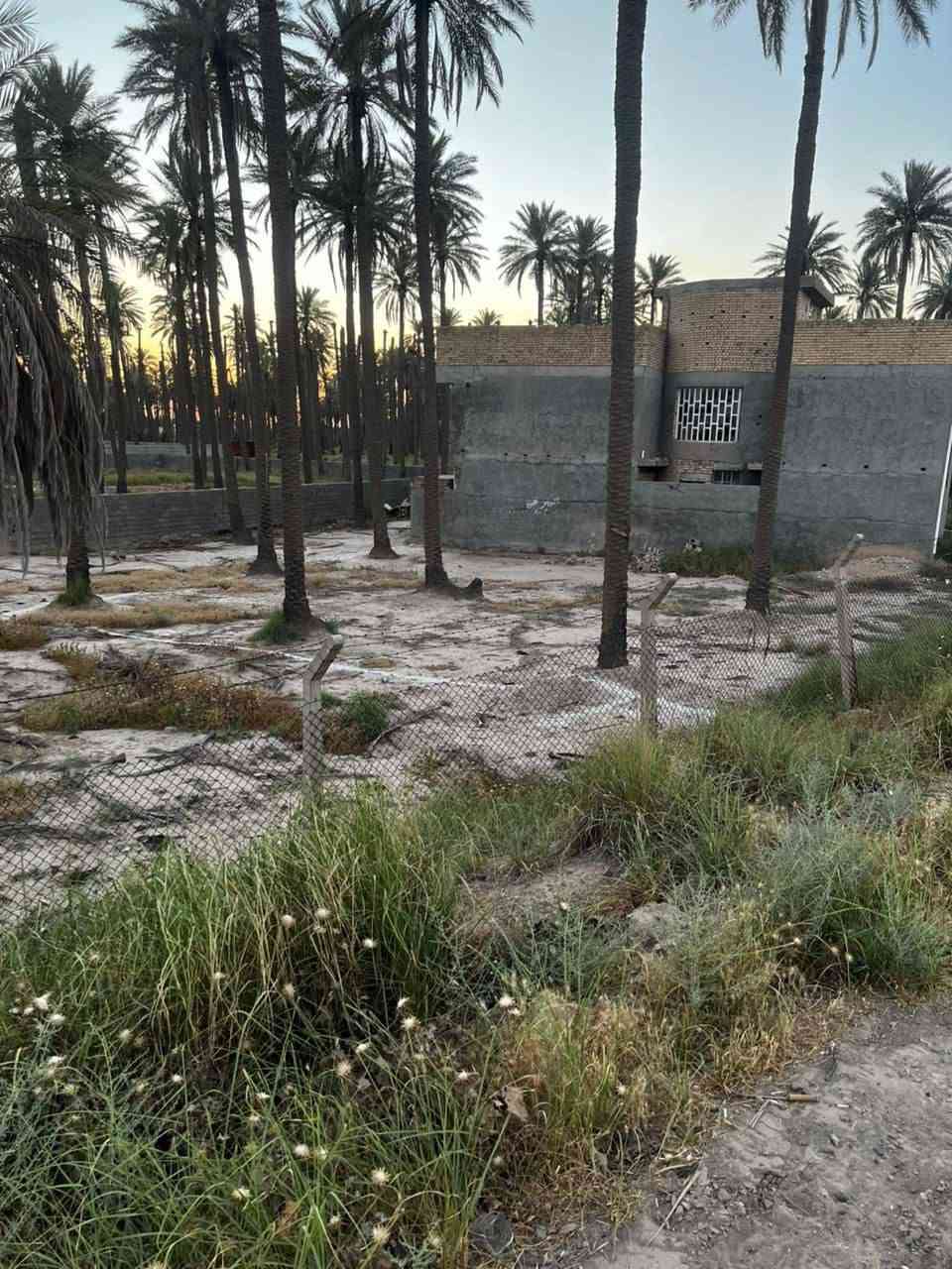 الجسر الفرنسي • ٥٠٠م • سند ٢٥