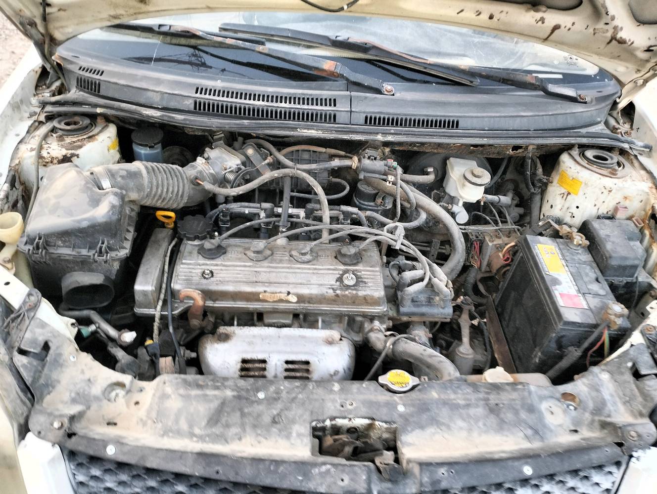 ​للبيع: جيلي سيدان موديل [2011]
​النوع: جيلي (Geely)
​الطراز: MK
​المحرك: 1.6 لتر، 4 سلندر
​ناقل الحركة: يدوي (مانيوال)
​اللون: أبيض
​اللوحة: بابل القاسم  جمعيه ( العراق)
​حالة السيارة:
السيارة بحالة ميكانيكية جيدة، تعمل وتسير بشكل نظامي. المحرك والجير بحالة ممتازة. السيارة بحاجة لبعض الاهتمام التجميلي البسيط (سمكرة وبويا وتنظيف داخلي) لتصبح بحالة مثالية.
​
​يوجد بعض الصدأ في الرفارف الخلفية كما هو معتاد في هذا الموديل.

كامل الاوراق اصوليه وكامله  وصاحب السياره من اهالي الديوانيه ويمكن التحويل بالاتصال مع صاحب السياره الاصلي ونطيك رقم المالك الاصلي بعد الشراء 

​السعر المطلوب:
25 ورقة 
السعر قابل للتفاوض للجادين بالمعقول.
​
للتواصل والاستفسار:
يرجى الاتصال على الرقم: [***********]
(متوفر أيضًا عبر واتساب)