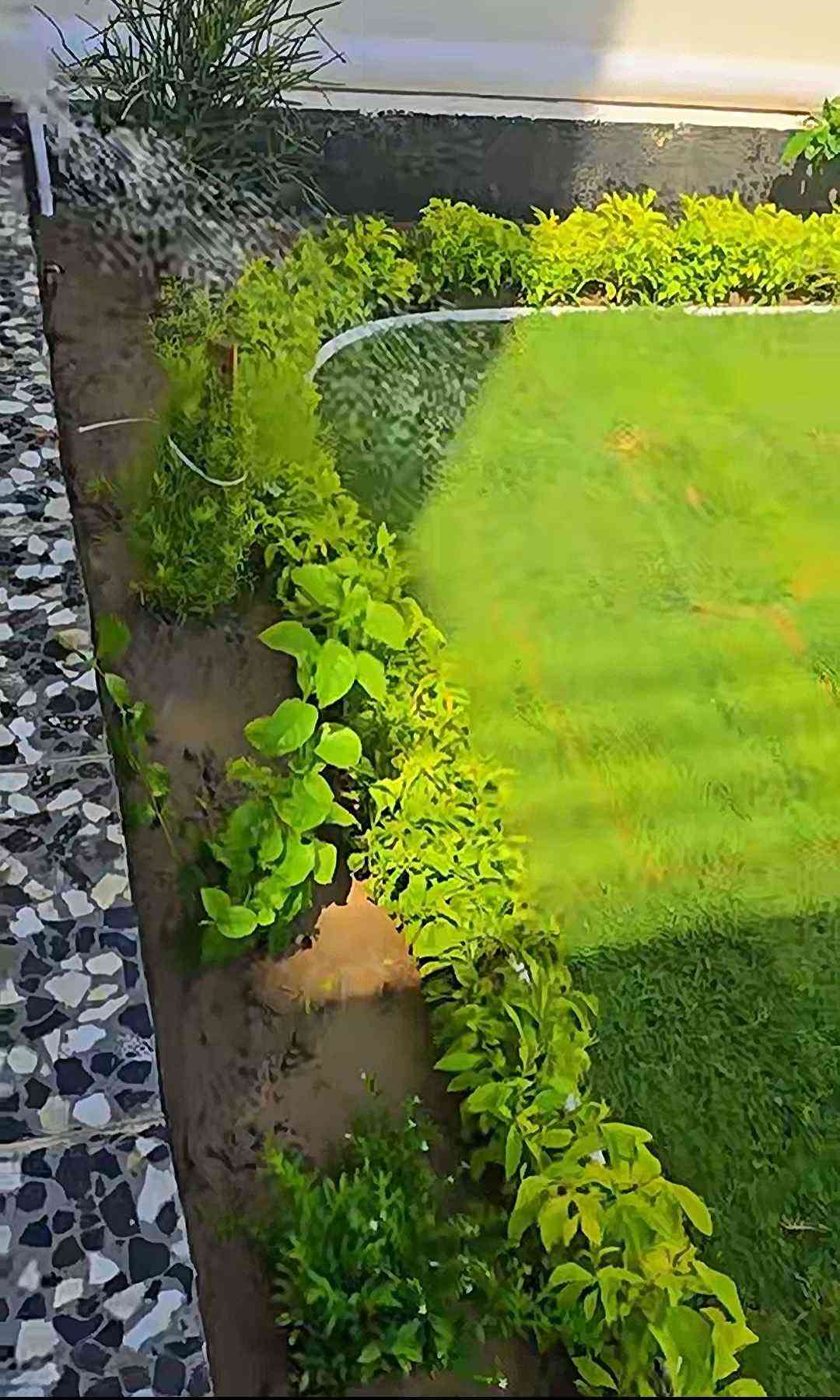 حديقتك أفضل بغداد, العراق

نص مكتوب في الصور:
- حديقتك .. تبدأ من فكرة تصميم وتنفيذ جميع أنواع الحدائق على تصميم الحدائق مع خدمات مكافحة شاملة كشف ومعاينـة مجانيـة حدائق أجمل لحياة أروع العشب الطبيعي والصناعي مظهر أخضر دائم ويدوم طويلاً أعمال الحجر والأرضيات حجر طبيعي ومناعي وأرضيات خارجية النافورات والديكورات المائية تصاميم عصرية بأجمل الأشكال زراعة الأشجار والنباتات أشجار مثمرة وزينة ونباتات متنوعة تنسيق الحدائق زراعة ونباتات طبيعية وترتيبات جمالية خدمات مكافحة شاملة مكافحة الفطريات والعفن والآفات المختلفة مكافحة الزواحف الثعابين والعقارب والسحالي مكافحة القوارض الفئران والجردان وغيرها مكافحة الأشجار الآفات والأمراض التي تصيب الأشجار مكافحة الحشرات جميع أنواع الحشرات الزاحفة والطائرة مكافحة الأمراض والفطريات (البيمل الفطريات) ومعالجتها خدمة رش المبيدات والتعقيم للمنازل والحدائق والمزارع والمستودعات آمن على الصحة مواد مرخصة نتائج فعالة علي خدمات البساتين سيارة خدمة ميدانية لجميع مناطق بغداد *********** علي تصميم الحدائق أحدث المعدات والتقنيات خبرة وكفاءة في العمل أسعار مناسبة للجميع خدمة سريعة ومضمونة بغداد فقط
- المرتضى لديكور الحدائق
- منذ 9 ساعات
- دردشة على واتساب
- أعجبني
- تعليق
- مشاركة
