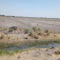 هاذي 2 دونم للبيع طابو سند 25 الأرض قرب سبع البور بالضبط السعر الدونم ...