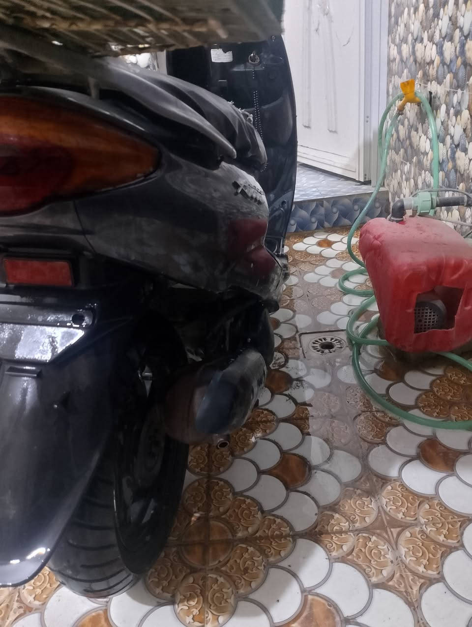مفتوحه • سلف • شغاله