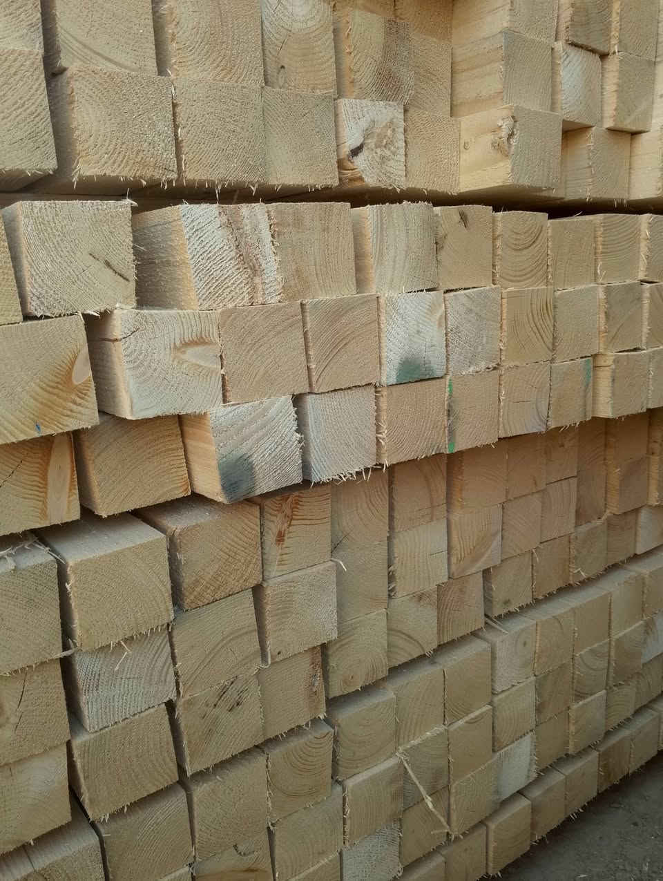 تم وصول بضاعه جديده   الخشب الروسي مجفف ماركات

درجه اولى 1

 

لوح طول 4 متر روسي مجفف ماركه درجه اولى 

السعر 475 الف دينار عراقي 

لوح روسي مجفف ماركه درجه اولى طول 3 متر انج تارس 

25×10 درجه اولى 

سير روسي طول 4 متر 50×2×4 تارس ماركه درجه اولى  

سير  روسي مجفف ماركه درجه اولى  طول 3 متر 70 ×70 

تارس السعر 475

العنوان الحله  شارع 80  قرب مطعم ثابت 

جمله - مفرد الى كافة محافظات بأسعار مناسب جيد جدآ 

الهاتف *********** - ***********
