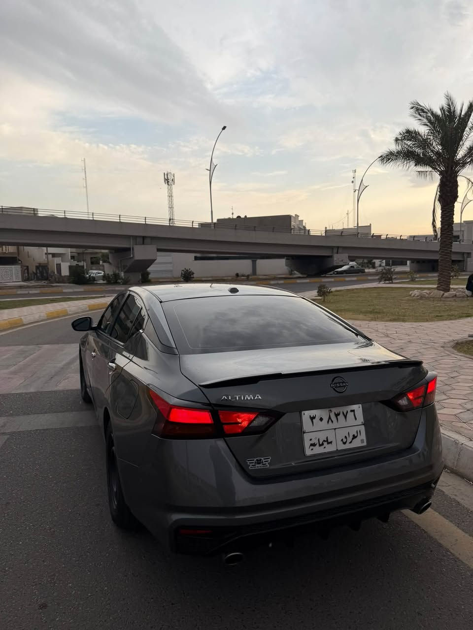 التيما S • ٢٠١٩ • نفطي