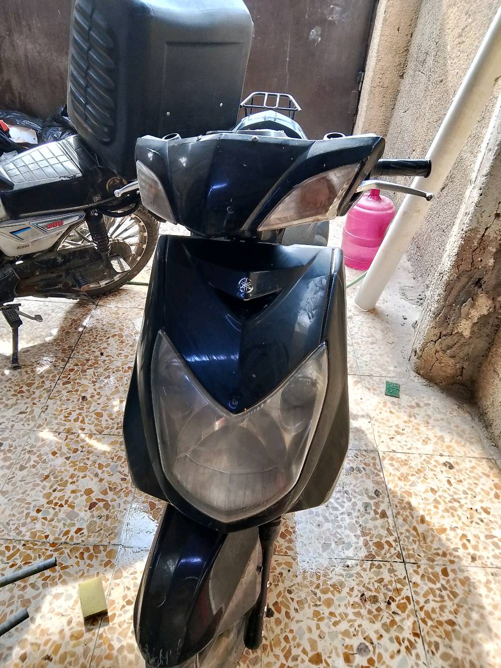 سكنس فحل • كابريتر • ٥٥