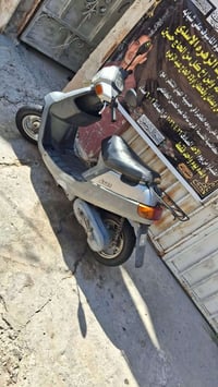 بطة • كفاله عامه • مجال