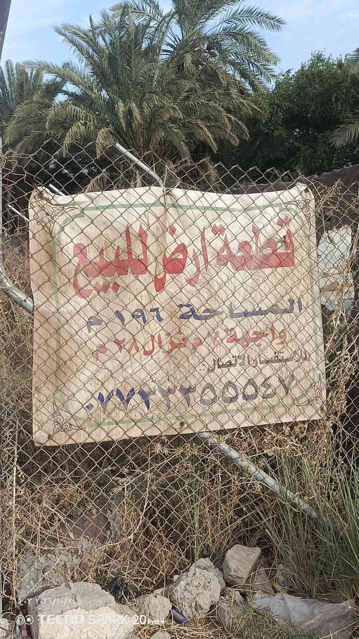 الشعله الدوانم • سند ٢٥ • ١٩٦م