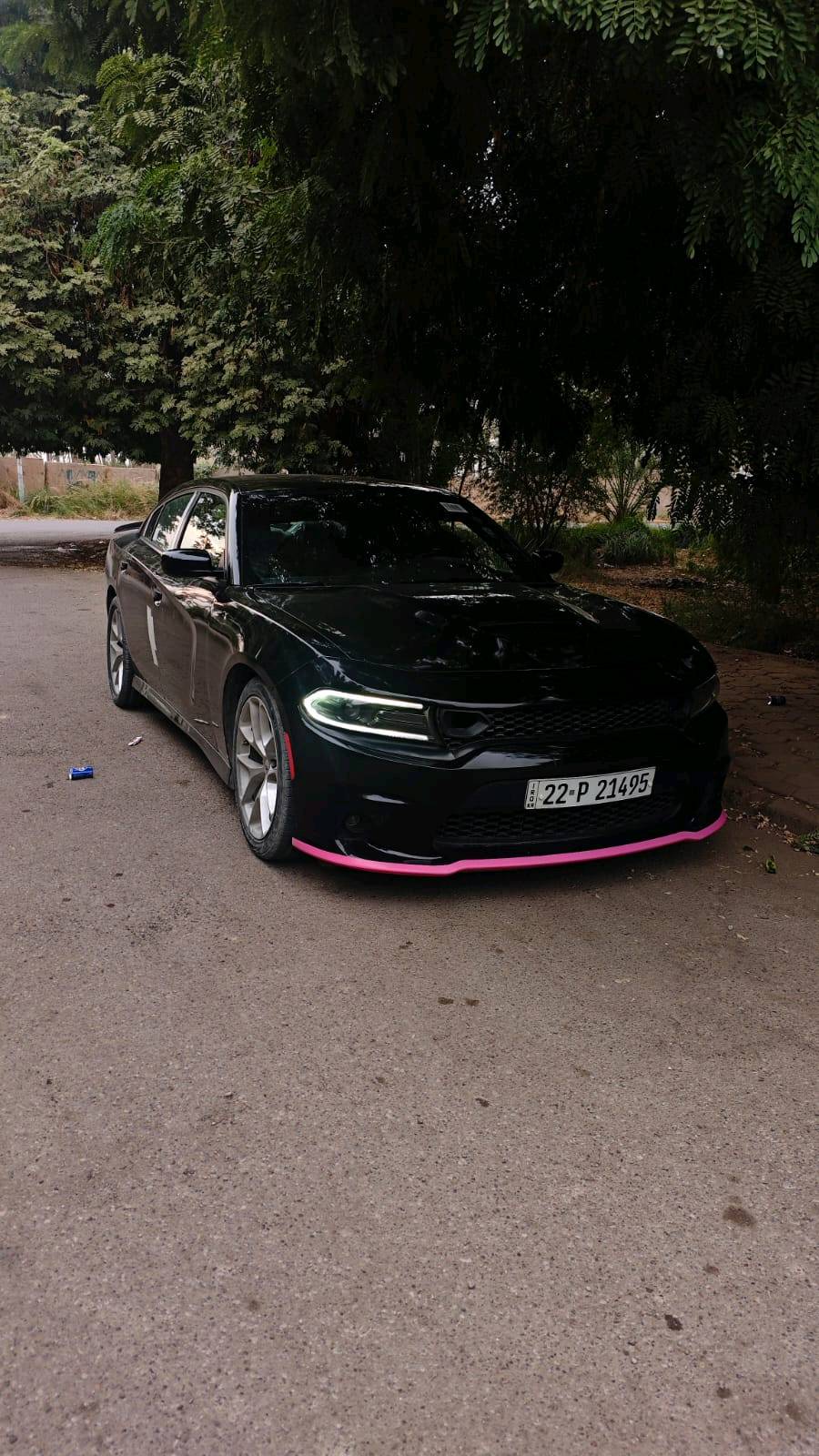 تشارجر SXT • ٢٠٢٣ • رقم اربيل