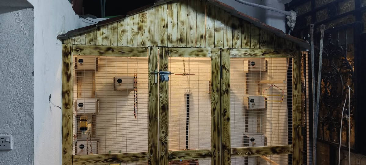 🔨 معمل الكرار | حدادة عامة

متخصصون بصناعة أقفاص وأبراج الطيور بتصاميم مرتبة وقوية، حسب الحجم والطلب 🐦

▫️ أقفاص طيور مفردة ومزدوجة
▫️ أبراج طيور متعددة الطوابق
▫️ أبواب وفتحات عملية وسهلة الاستخدام
▫️ تصاميم خاصة حسب المساحة
▫️ لحام متين وتشطيب مرتب
▫️ تنفيذ حسب القياس والطلب 
يتوفر لدينا كرسته وعمل مع جميع الاوازم من الاضاءة الكهرباء والنباتات الطبيعية وغير الطبيعية و جميع النافورات المائية  واي شي يخص الطيور 

نصنعه حسب فكرتك… وننفذه بإتقان.
⚒️ جودة عالية • شغل نظيف • متانة تدوم
نشتغل بغداد وجميع المحافضات 
الاتصال والاستفسار  ***********
