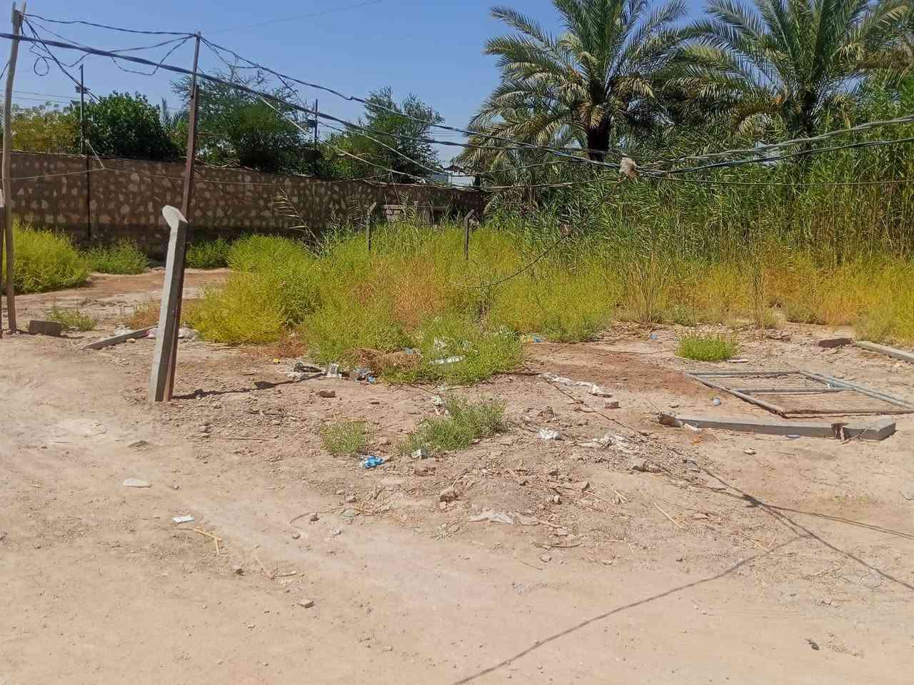 ٢٠٠ سند ٢٥ م طابو زراعي تحويل السعر ١٢ ماليون ترهم نقد وفقد قرب مخازن القمة قرب الجزائر عن المحافظة بابل  ٤كغم والفنون *********** يوجد واتساب
