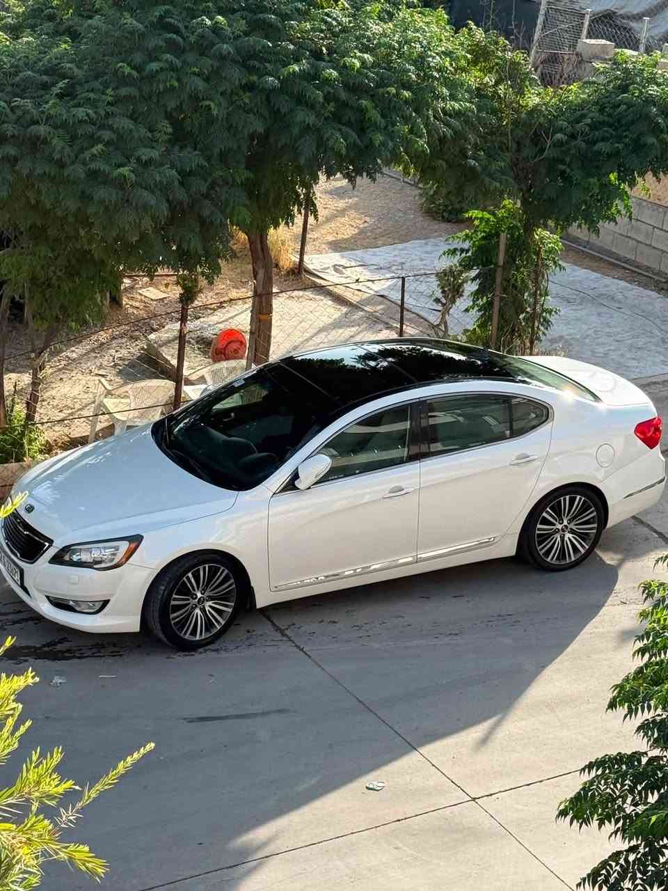 كادينزا 2012 خليجي vip
كفاله عامه 
***********
