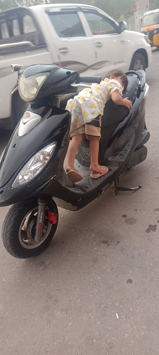 فحل 14 • كامكو • كفاله