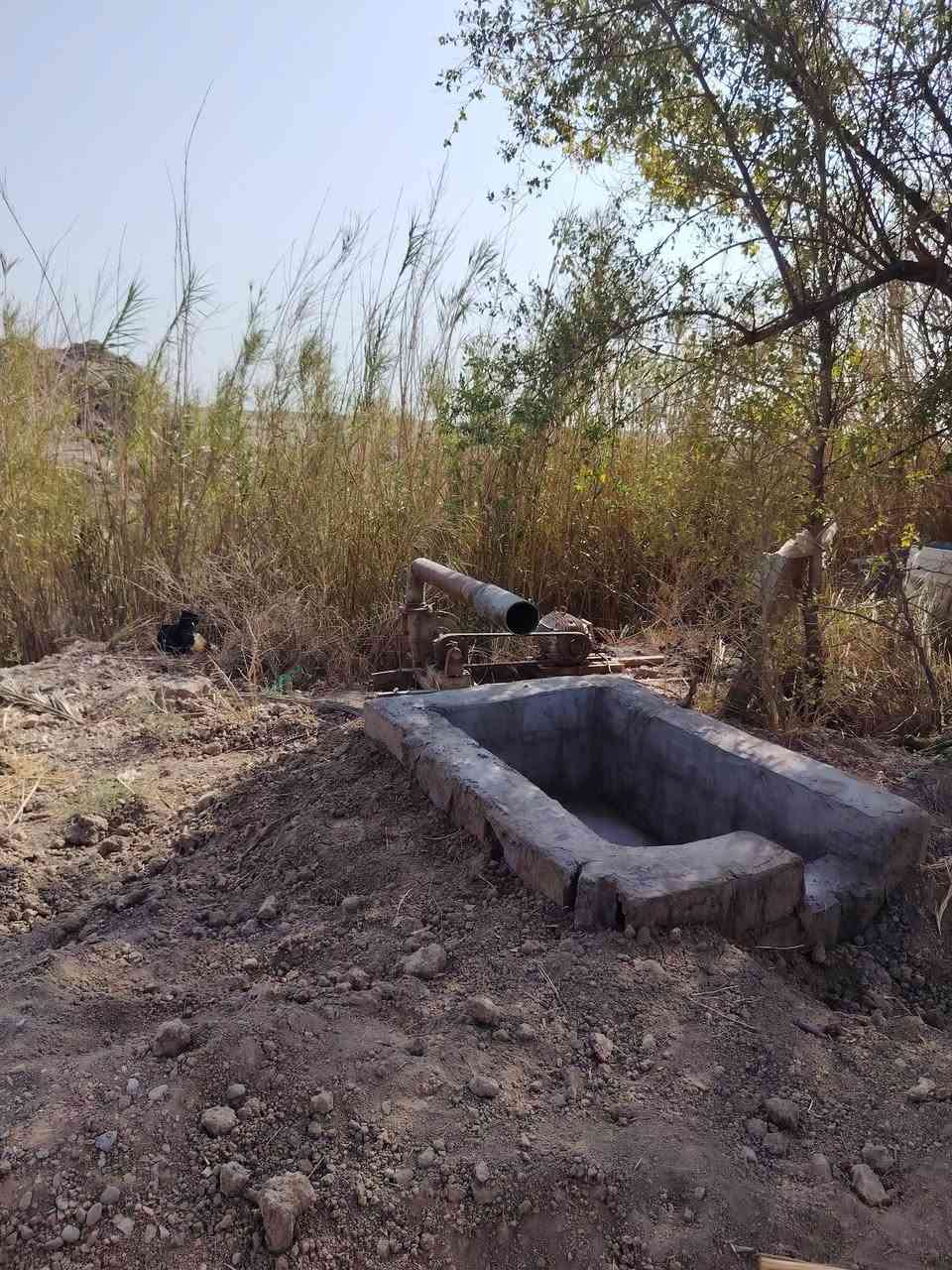 سلام عليكم ورحمة  مضخة سراعية ١٥ حصان خنزيرة ٤في ٥ كولة جديد ***********
