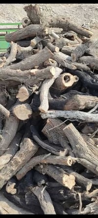 حطب • أحمال • للبيع