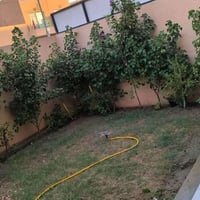 أبو غرق • مؤثثة بالكامل • ١٥٠م