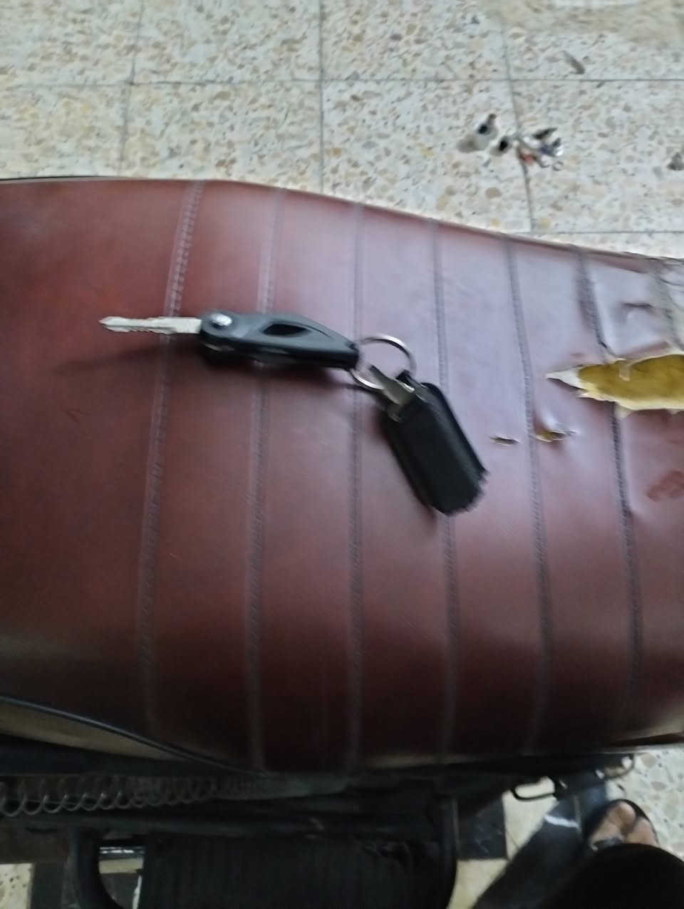 دايوان • موديل ٢٠٢٤ • كفالة
