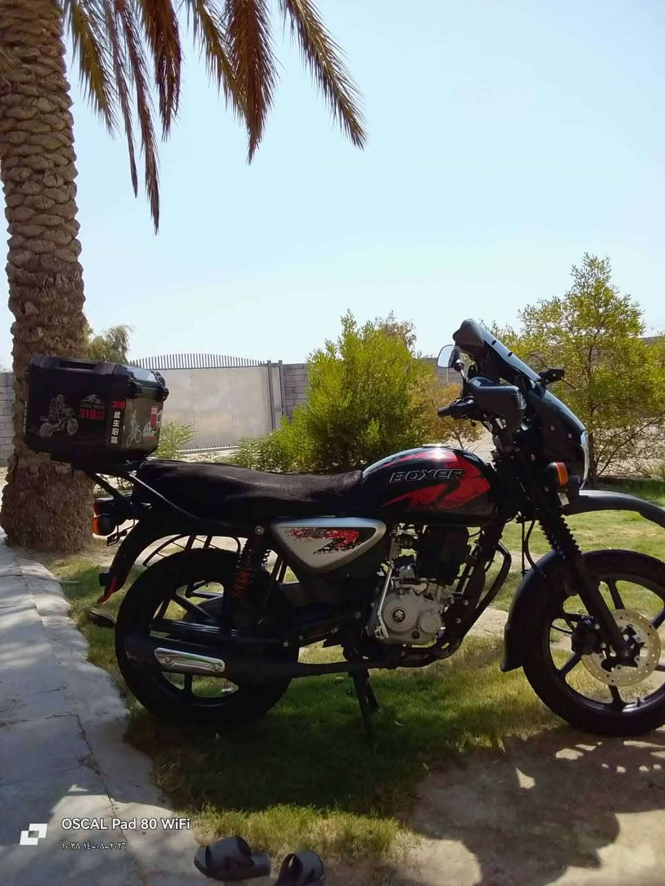سلام عليكم بوكسر مديل 23رقم وسنويه لوحات نكليزي موجودات بس ما شادهن مكينه برغي ما مفتوح بيه دراجه كفاله عامه ما نقصه لو برغي ونضفه كدامكم دراجه باسامينه تحويل ثاني يوم او حسب الاتفاق مكان تاجي سبع البور السعر 2800وبيه مجال لشراي اتصل براعيه *********** ابو ماجد
