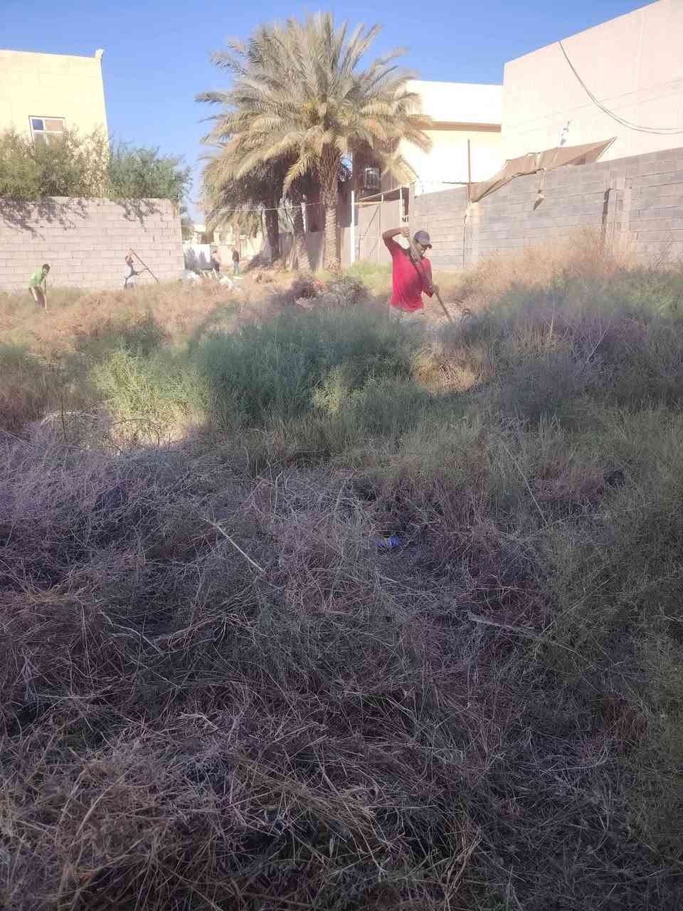 ***********📞سلام عليكم  /  يوجد كادر عمل جاهز /  تصعيد مواد /  تنضيف بيوت /  تفليش /  تكشيط /  دفن نهري /  شقلنه ليل ونهار /  ومعداتنه جاهزه  ومالك دخل بكلشي تأخذ شقل جاهز مني سلمني شقل وتأخذ شقل جاهز / ماعليك بس تصال على رقم ///  وسياره تجيك للبيت // وموجود واتساب
