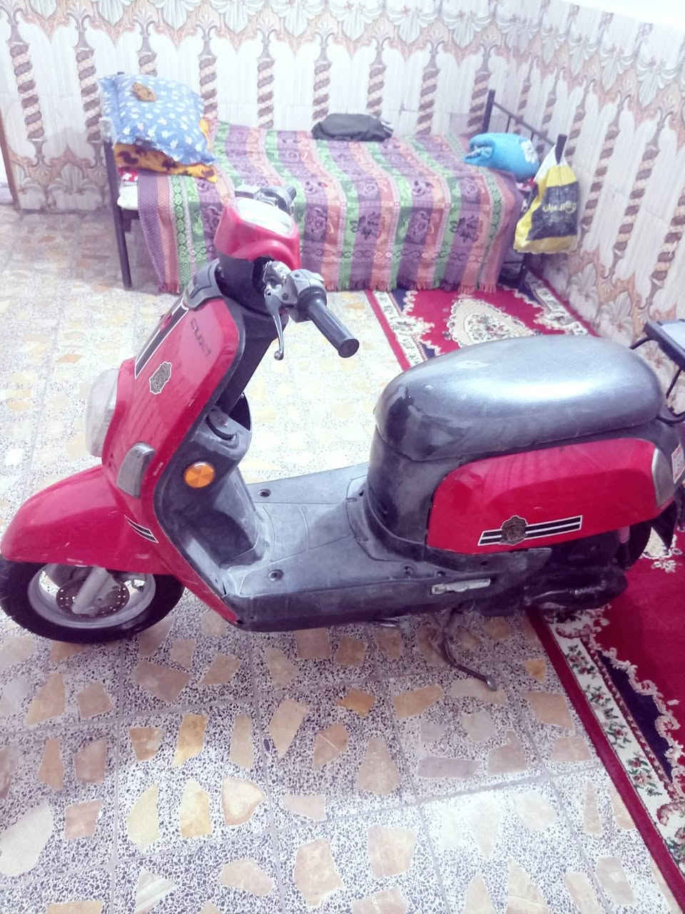 بوليسي بوشه ٥٠ بلاديه كلش نضيفه وكله شغاله

والفاته مبدله سعرها ب( ٥٥٠ ) وبيه مجال لل شراي

اتصل *********** ناصريه مركز
