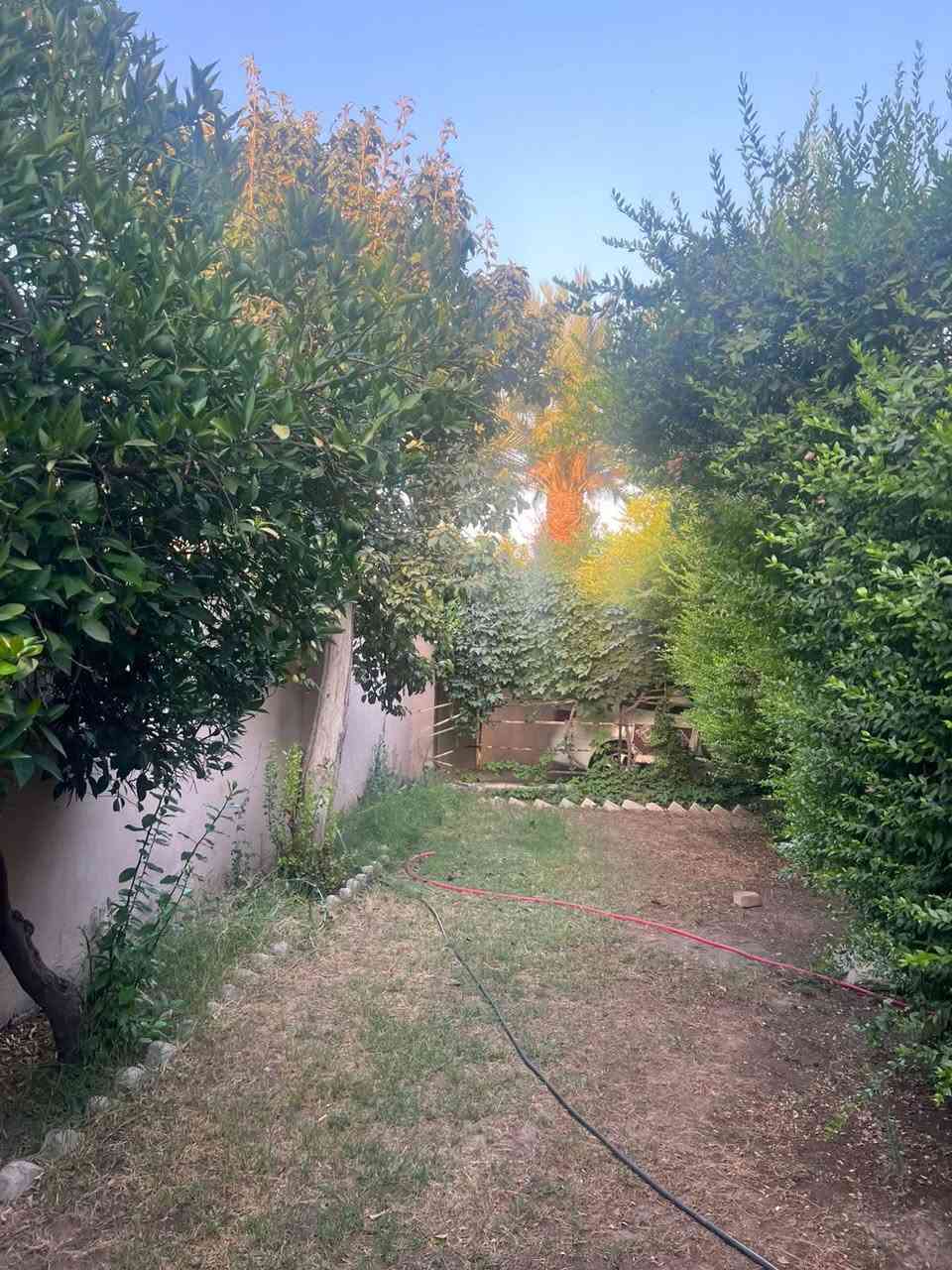 السلام عليكم 
بيت سكني في حي الرفاعي جانب الايمن مساحة البيت 497 واجهة 15ونص قريب على جامع يحيى الطالب وبضهرو شارع العام يتكون البيت من طابقين وسرداب 7غرف وهولين سعر البيت مناسب جدا للتواصل على هذا الرقم وبيه واتساب ***********
