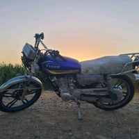 07834046489