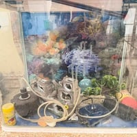 حوض سمك • ٦٠×٥٠ • اكريلك كامل