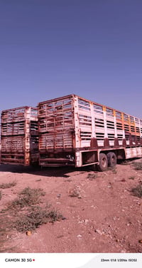 لودرات غنم • ١٨م • برطلة نينوى