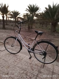 باسكل • جديد • بابل