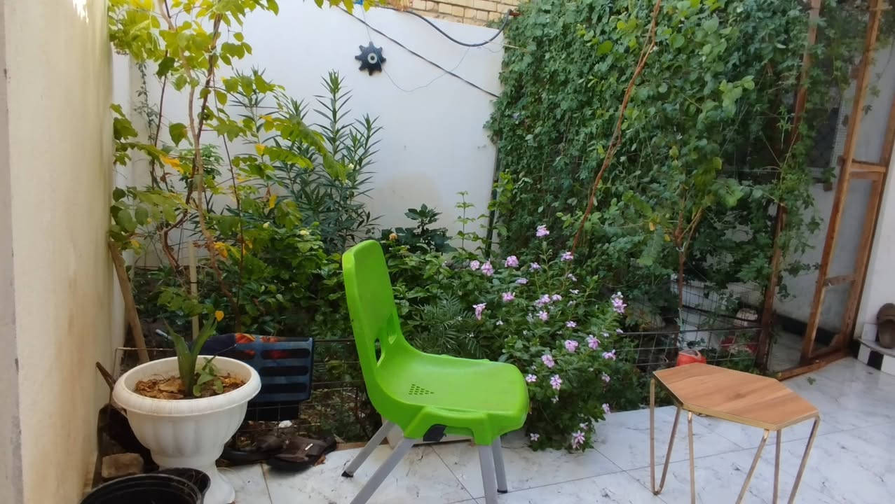 بيت  زراعي مساحه 182متر غرف عدد ثنين صاله استقبال مطبخ حمامات داخلي وخارجي طابوق صب كوكريت  مسلح مكانه سدينا ويه شارع سيد سلمان باق التفا صيل اتصل  *********** بي واتساب
