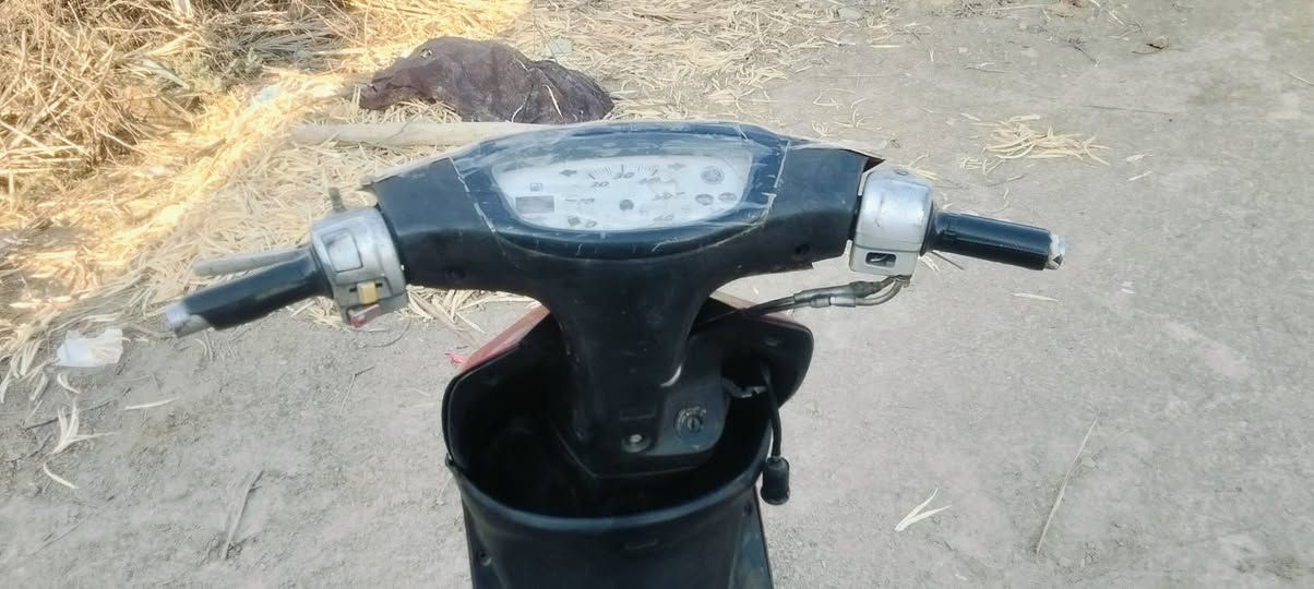 السلام عليكم ذبانه عصفوري البيع سعر 150وبيهى مجال  ***********
