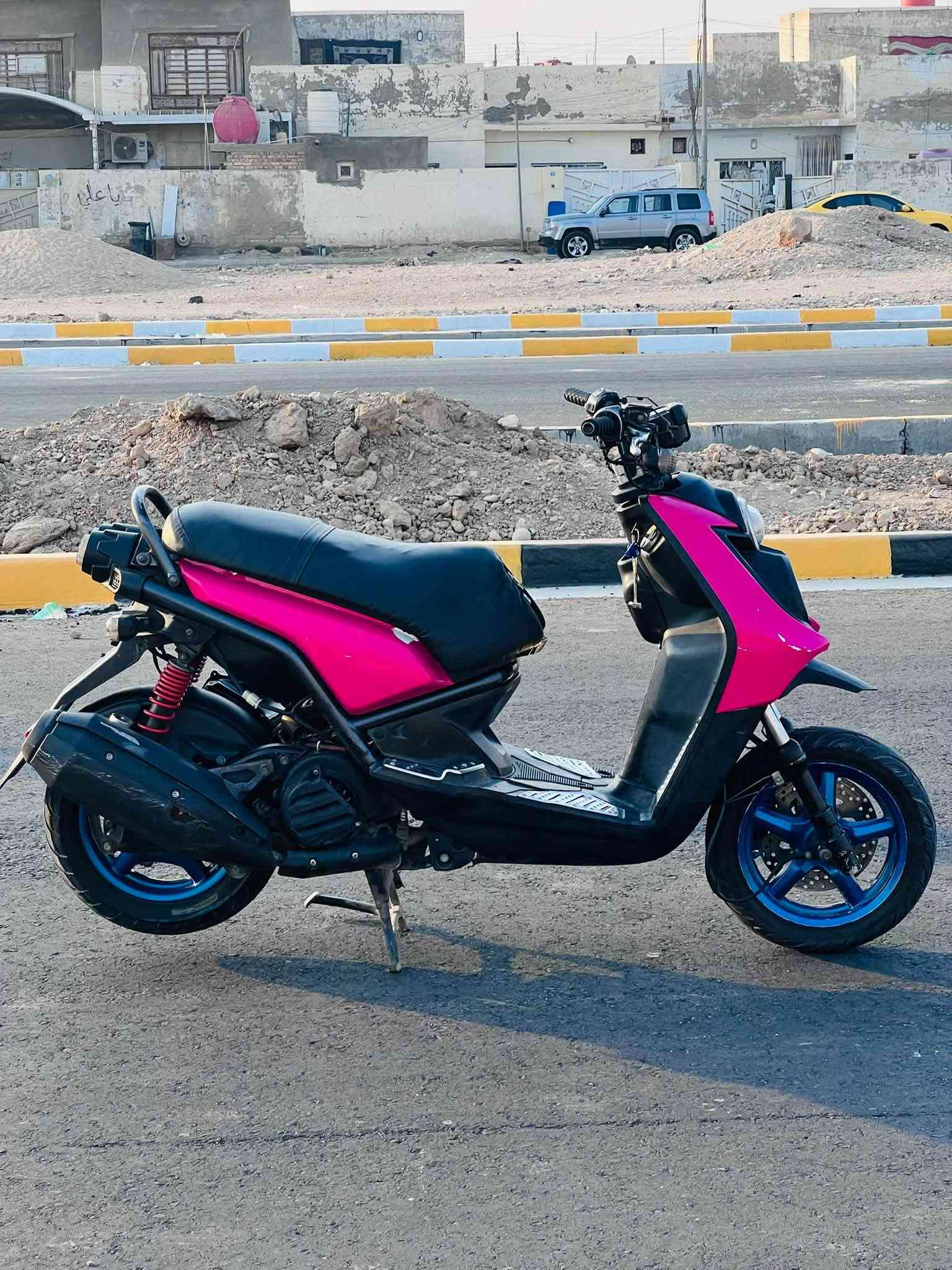 سكنس جبلي • اوراق