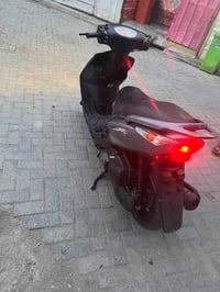 جيتي ار • ثعلب • سلف